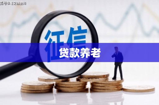 方山贷款养老