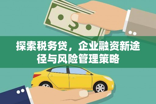 方山探索税务贷，企业融资新途径与风险管理策略