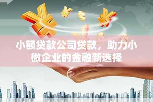 方山小额贷款公司贷款，助力小微企业的金融新选择