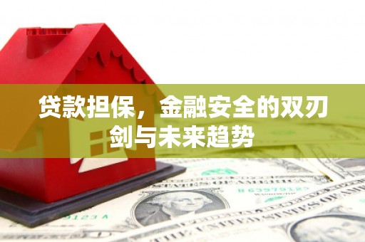 方山贷款担保，金融安全的双刃剑与未来趋势