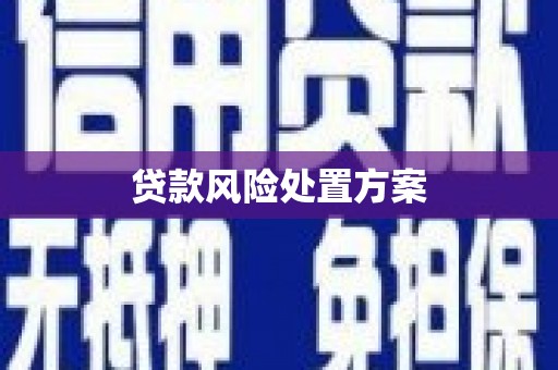方山贷款风险处置方案