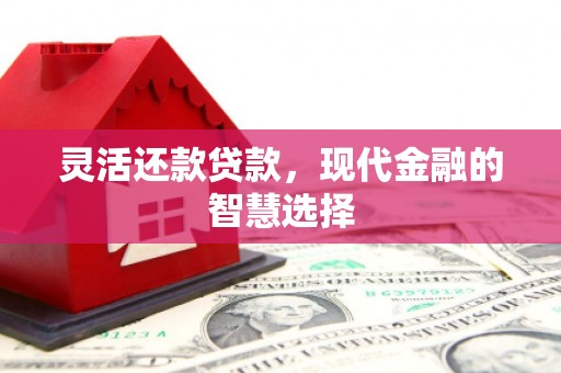方山灵活还款贷款，现代金融的智慧选择