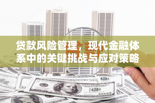 方山贷款风险管理，现代金融体系中的关键挑战与应对策略