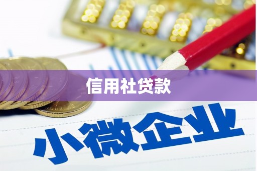 方山信用社贷款