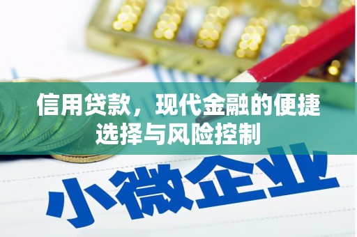方山信用贷款，现代金融的便捷选择与风险控制