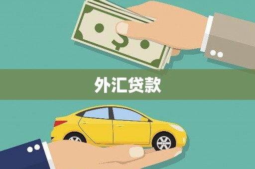 方山外汇贷款