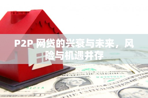方山P2P 网贷的兴衰与未来，风险与机遇并存