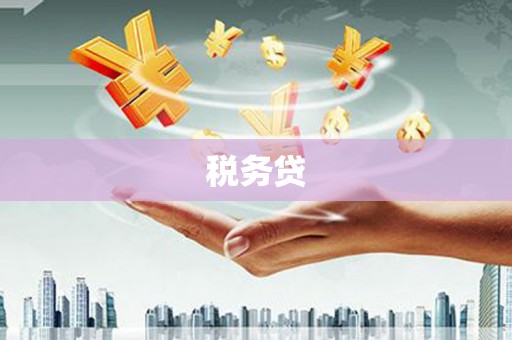 方山税务贷