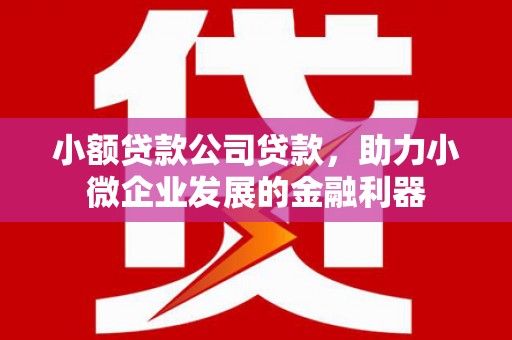 方山小额贷款公司贷款，助力小微企业发展的金融利器