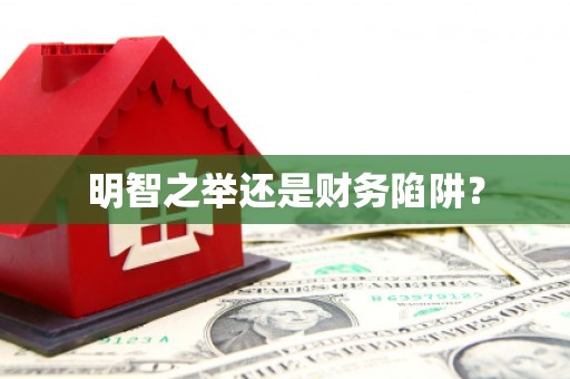 方山明智之举还是财务陷阱？