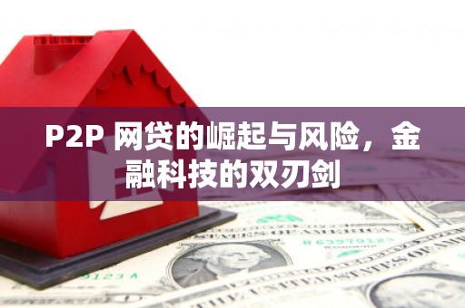 方山P2P 网贷的崛起与风险，金融科技的双刃剑