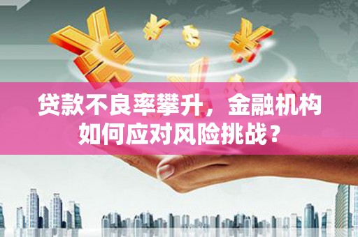 方山贷款不良率攀升，金融机构如何应对风险挑战？
