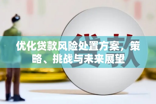 方山优化贷款风险处置方案，策略、挑战与未来展望