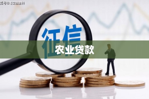 方山农业贷款