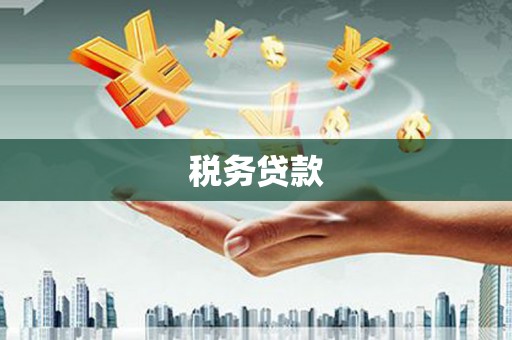 方山税务贷款