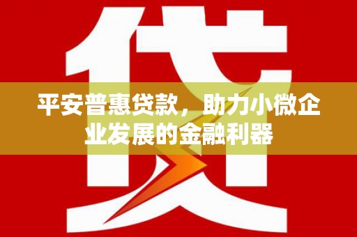 方山平安普惠贷款，助力小微企业发展的金融利器