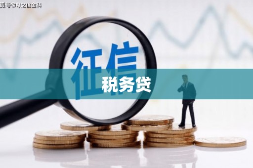 方山税务贷