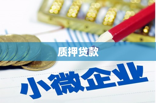 方山质押贷款
