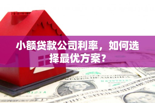 方山小额贷款公司利率，如何选择最优方案？
