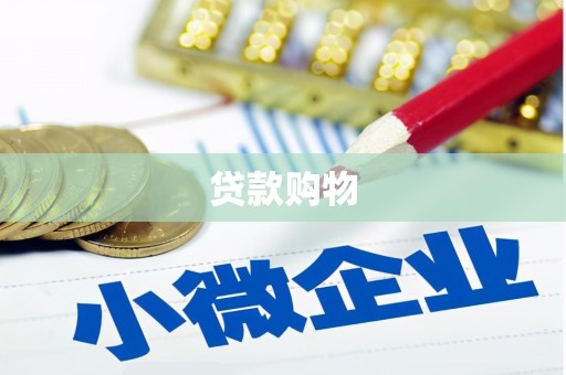 方山贷款购物