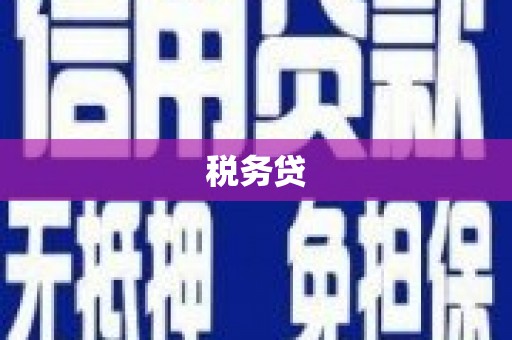 方山税务贷