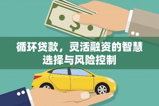 方山循环贷款，灵活融资的智慧选择与风险控制