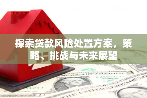 方山探索贷款风险处置方案，策略、挑战与未来展望