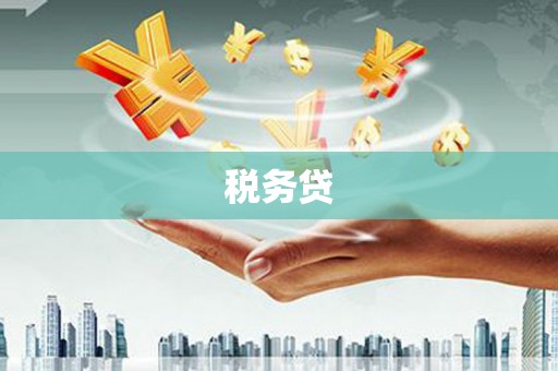 方山税务贷