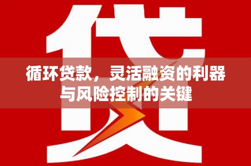 方山循环贷款，灵活融资的利器与风险控制的关键