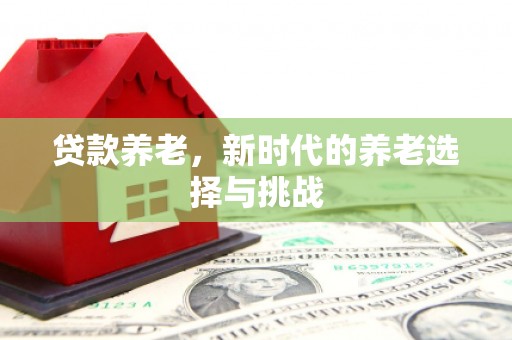 方山贷款养老，新时代的养老选择与挑战