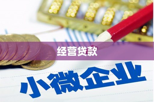 方山经营贷款