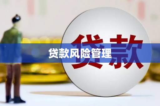 方山贷款风险管理