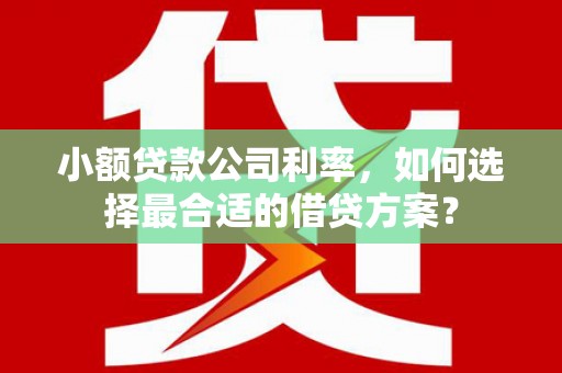 方山小额贷款公司利率，如何选择最合适的借贷方案？
