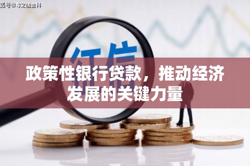 方山政策性银行贷款，推动经济发展的关键力量