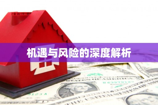 方山机遇与风险的深度解析