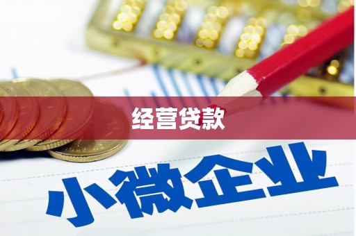 方山经营贷款