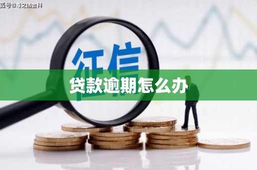 方山贷款逾期怎么办