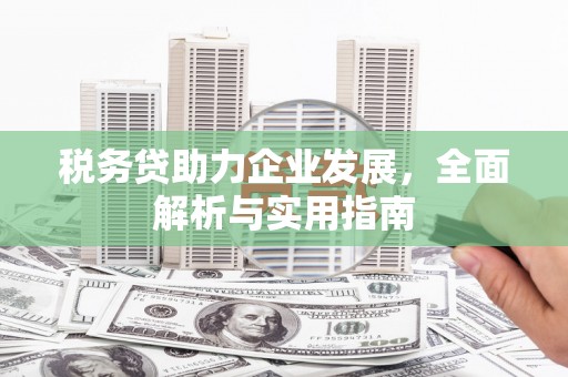 方山税务贷助力企业发展，全面解析与实用指南
