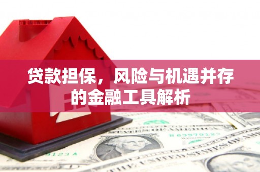 方山贷款担保，风险与机遇并存的金融工具解析