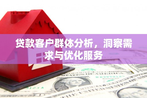 方山贷款客户群体分析，洞察需求与优化服务